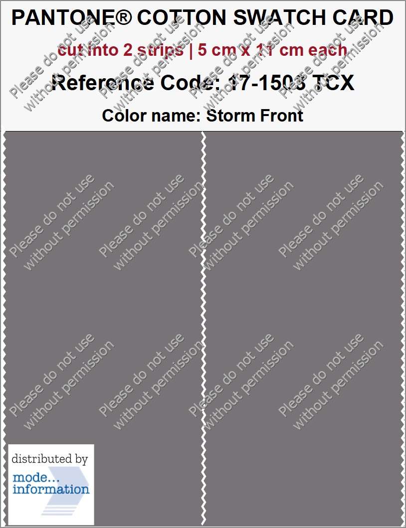PANTONE COTTON SWATCH CARD 17-1503 TCX Storm Front (cut into 2 strips | 5 cm x 11 cm)