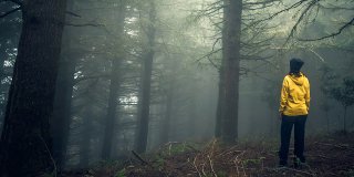 TRENDHOUSE CASUAL & Sportswear A/W 27/28...